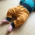 Glueckskind_hose_sonnengelb_merinowolle_seide1.webp